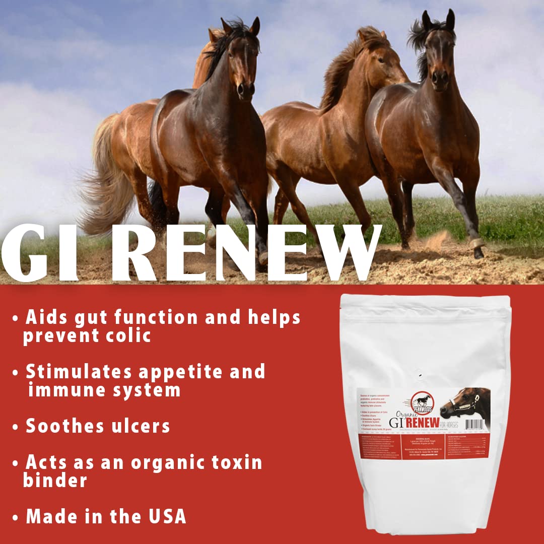 Pennwoods GI Renew, Probiotics for Equine, Immune and Appetite Stimulation, Prebiotics, Digestive Enzymes | Horse Supplement Pro