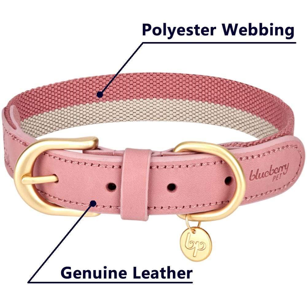 Blueberry Pet Leather Dog Collar For Female Dogs - Pink/Grey Stripes, Medium, 15-18 Neck, Stylish Design