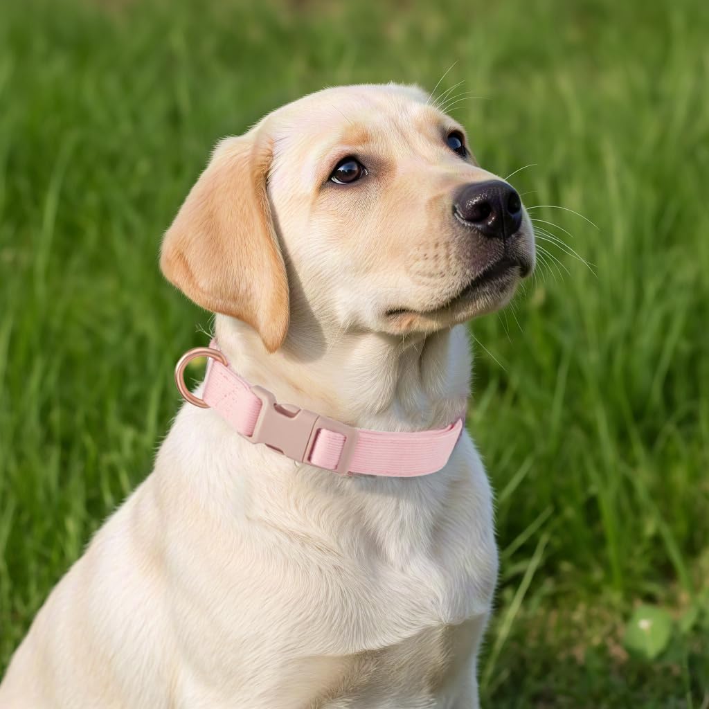 Yudote Soft Cotton Dog Collar Adjustable Corduroy Dog Collars For Small Medium Large Female Dogs(Pink,Medium)