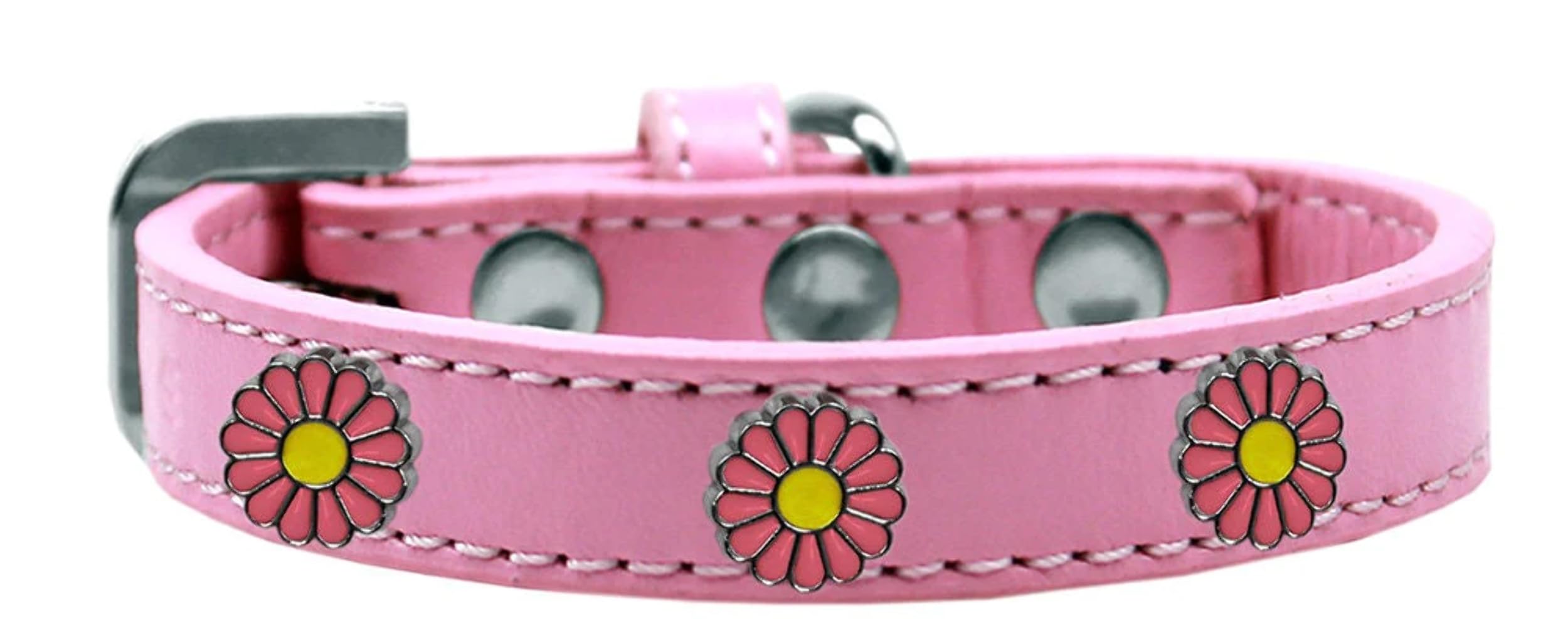 Dog, Puppy and Pet Widget Fashion Collar, "Pink Daisies" Aqua 16