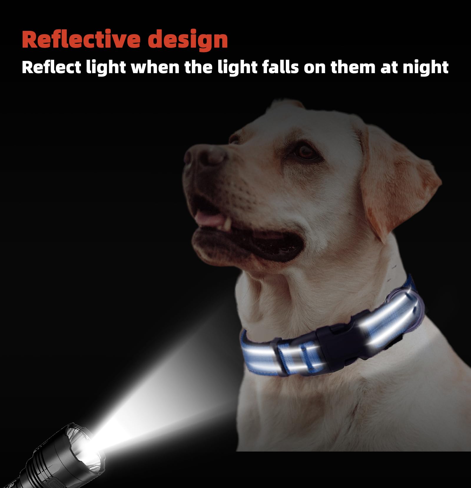 Xs Dog Collar, Reflective Pet Collar With Buckle Adjustable Safety Nylon Collars For Small Medium Large Dogs, Blue