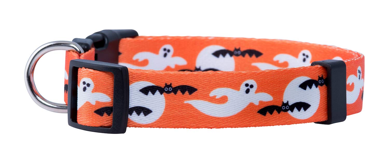 Native Pup Halloween Dog Collar (Small, Ghosts)