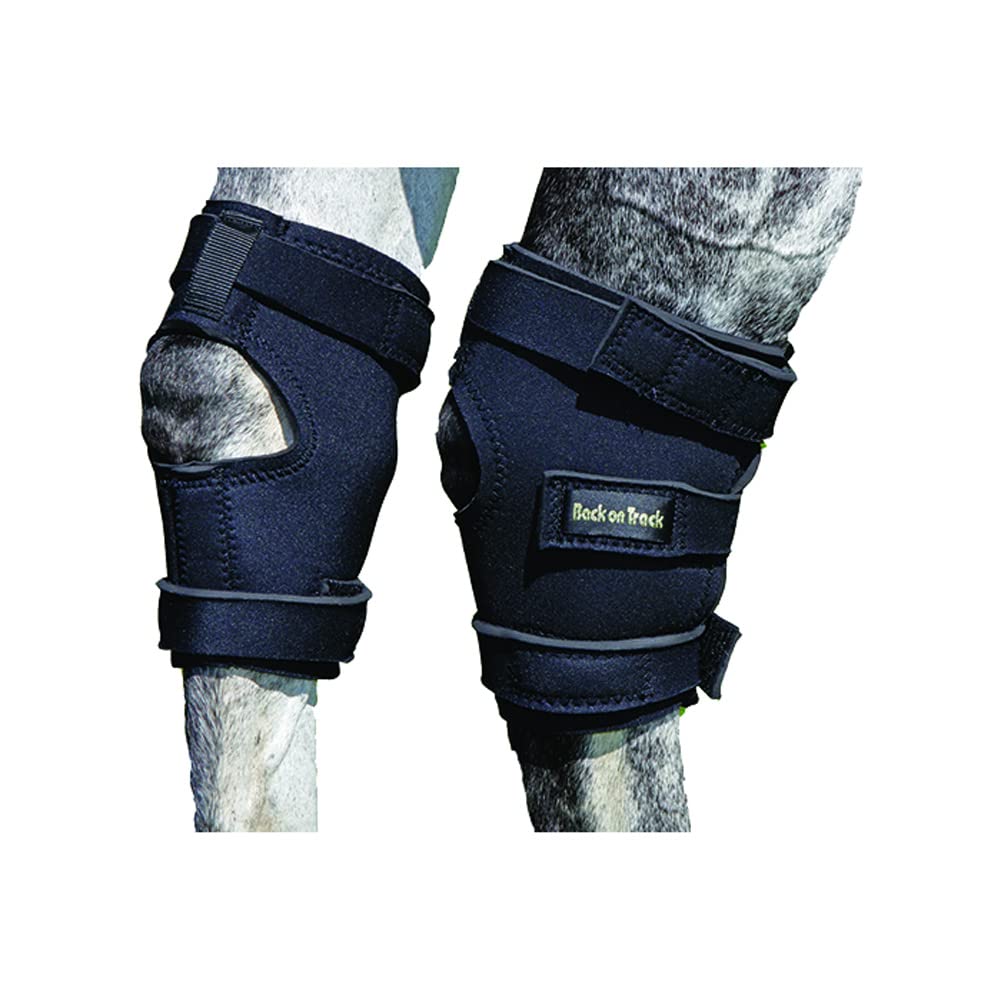 Back On Track Therapeutic Hock Boots Medium