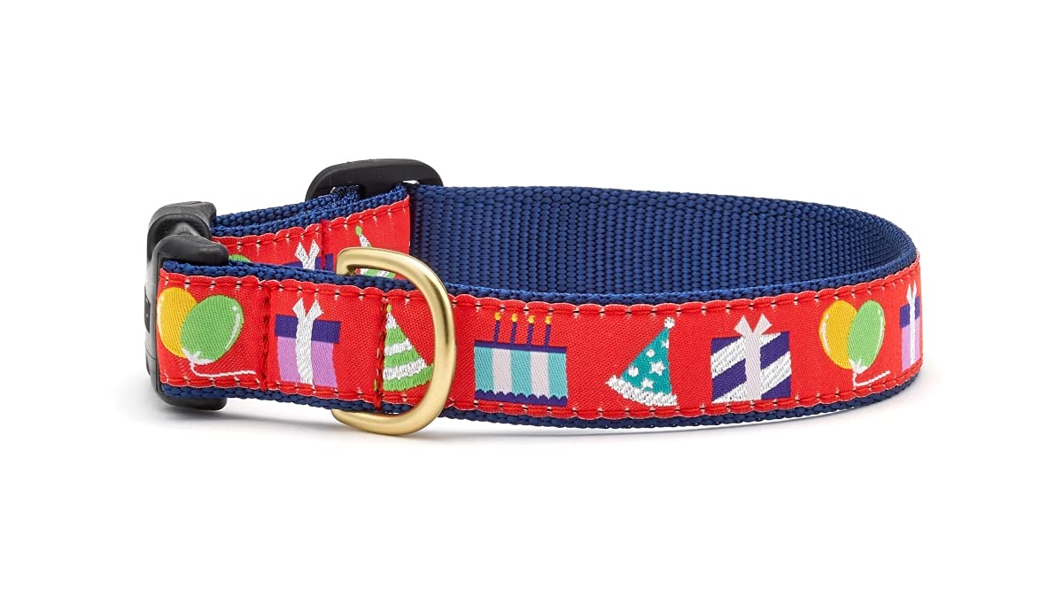 Up Country Birthday Gift Dog Collar (Birthday Gift Collar, Medium (12 To 18 Inches) 5/8 Inch Narrow Width)