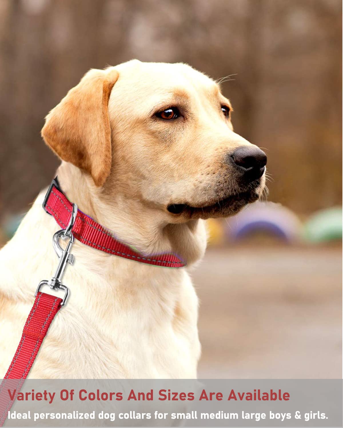 Reflective Dog Collar With Buckle Adjustable Safety Nylon Collars For Small Medium Large Dogs, Red Xs