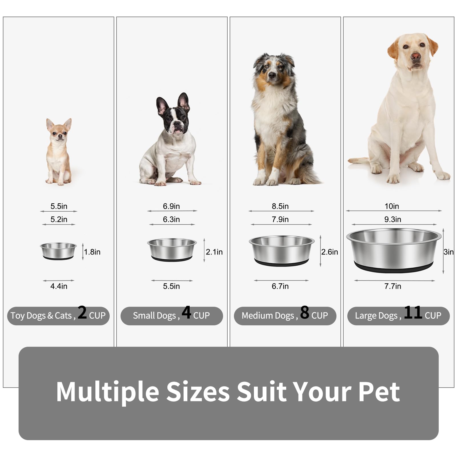 Taglory 2 Cup Stainless Steel Dog Bowls Set of 2 for Food and Water, Silicone Base Anti-Slip, Rust Resistant, Extra Thick Metal