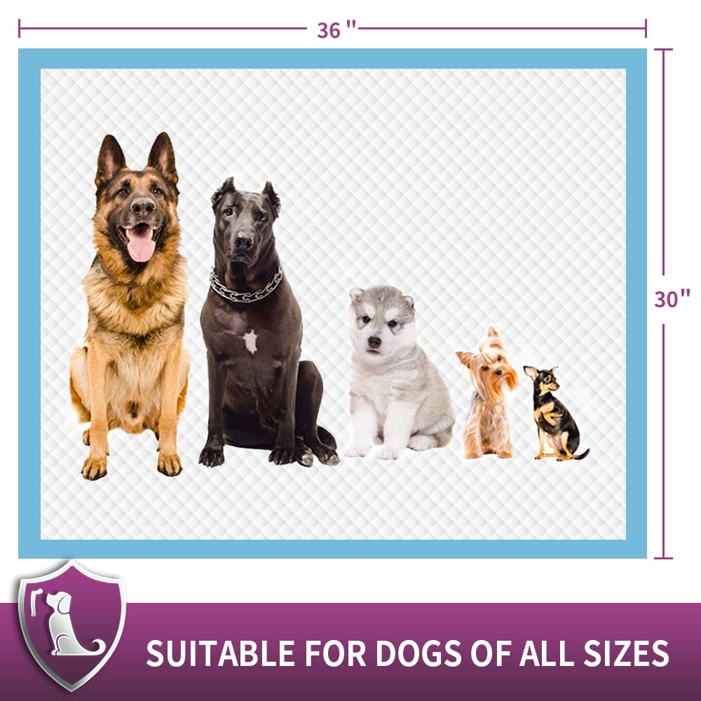 IMMCUTE Extra Large Dog Pee Pads - 30"x36", Super Absorbent & Leak-Proof, 30 Ct, Blue, Ideal for Puppies, Dogs, Cats & Rabbits