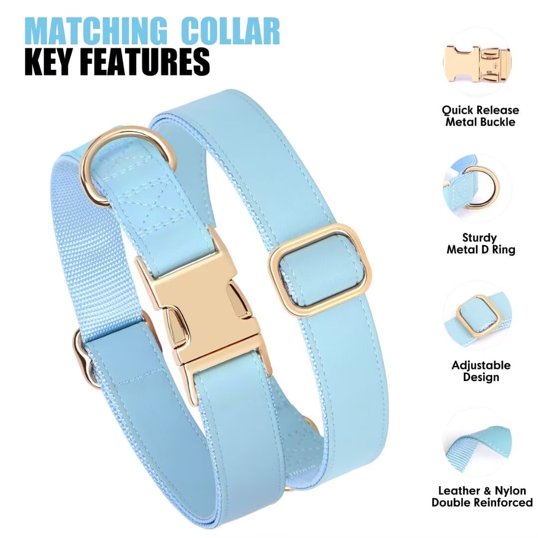 Pet Artist Soft Leather Dog Collar And Leash Set, Bright & Stylish 5Ft Leather Leash And Collar Set, Heavy Duty Dog Collars With