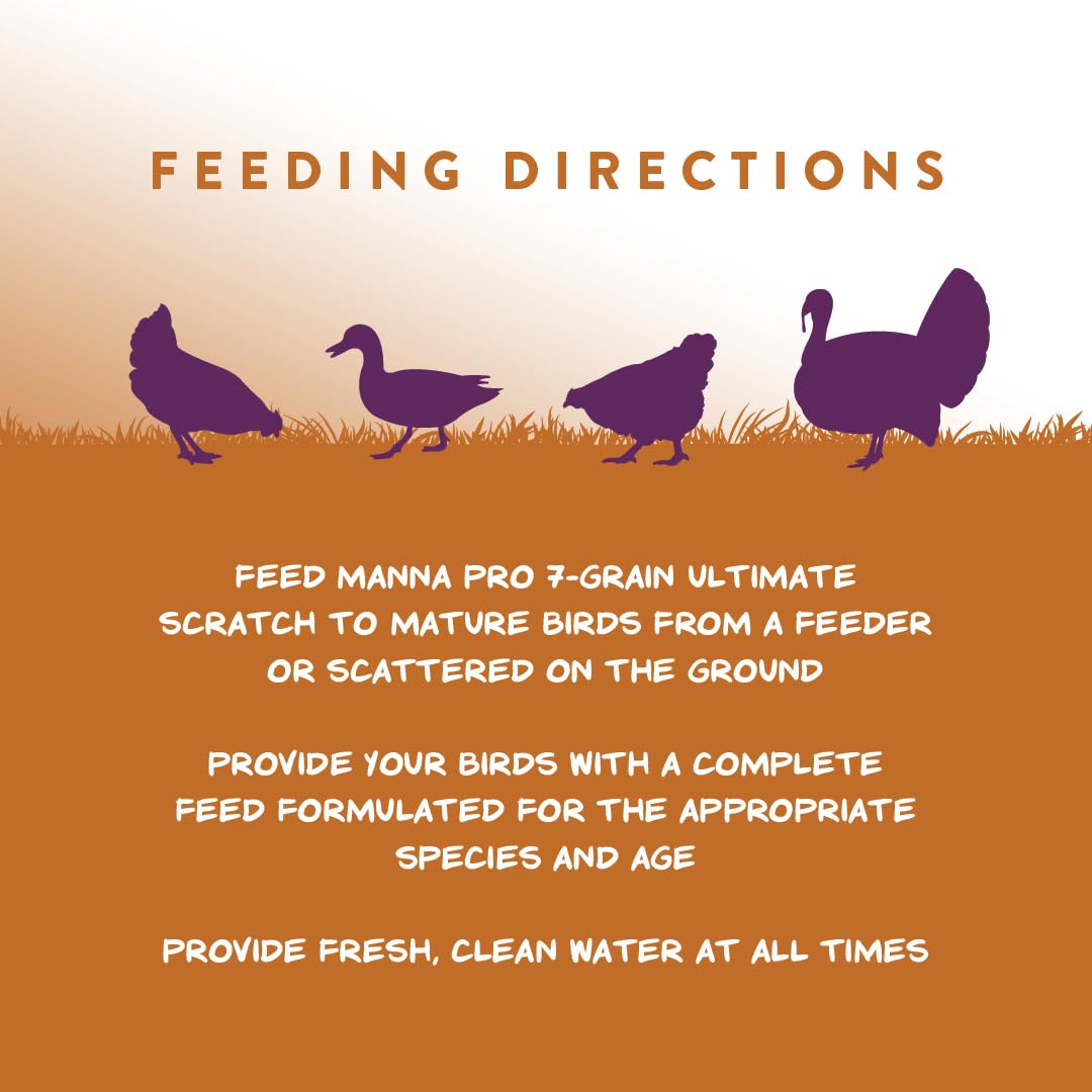 Manna Pro 7-Grain Ultimate Chicken Scratch - Non-GMO Treat for Birds - 10 lbs - Original Version