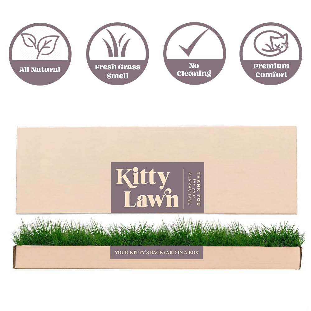 Cat Real Grass Window Bed Perch, Real Grass Cat Window Lounge Bed, Indoor Real Grass Window Bed Perch For Cat, Window Perch For Small And Large Cat, Cat Window Seat Bed For Windowsill And Bedside
