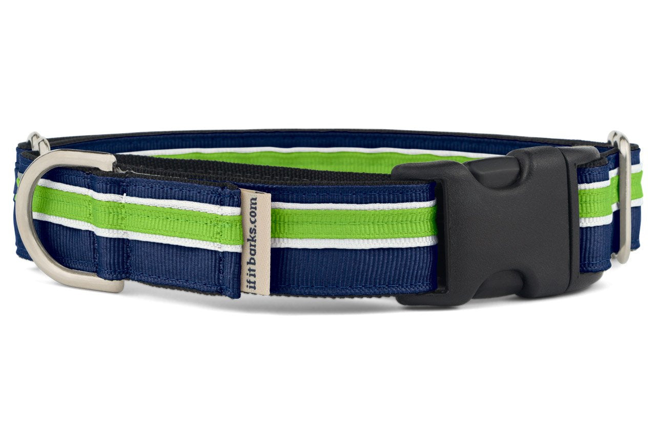 If It Barks 1'' Martingale Collar With Quick Snap Release Buckle, Adjustable, Usa Made, Large, Finley