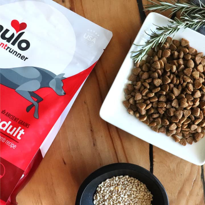 Nulo Frontrunner Ancient Grains High-Protein Dog Food, Beef, Barley, & Lamb Recipe- Natural Dry Dog Food with Probiotics, Grain-