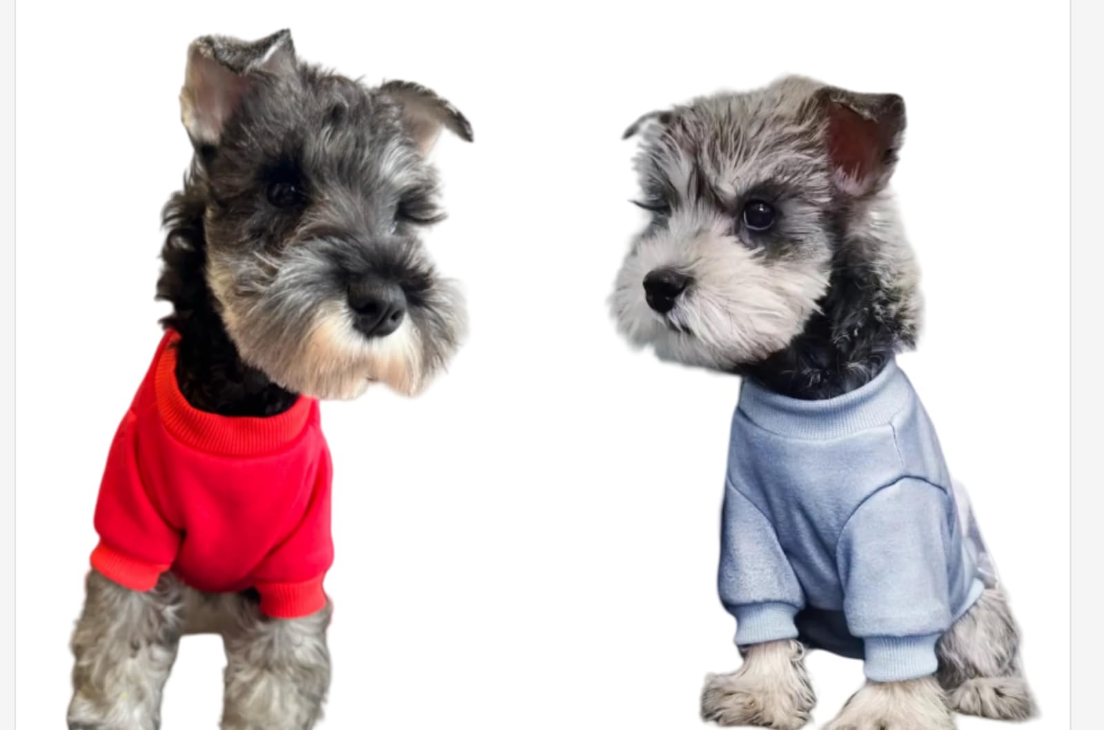 Cat Dog Sweaters - Hairless Cat Cotton Tshirts Pet Clothes - Pullover Kitten T-Shirts With Sleeves - Cats & Small Dogs Apparel (