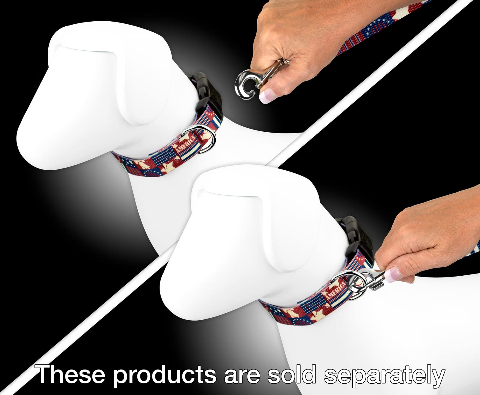 Country Brook Petz - Spirit of 76 Dog Leash - American Pride Collection Featuring Patriotic Designs (6 Foot, 1 Inch Wide)