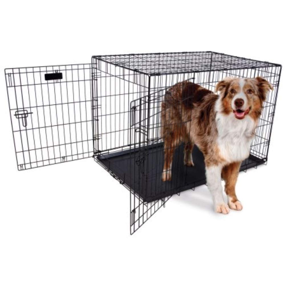 Precision Pet Products Two Door Provalue Wire Dog Crate, 36 Inch, For Pets 50-70 Lbs, With 5-Point Locking System