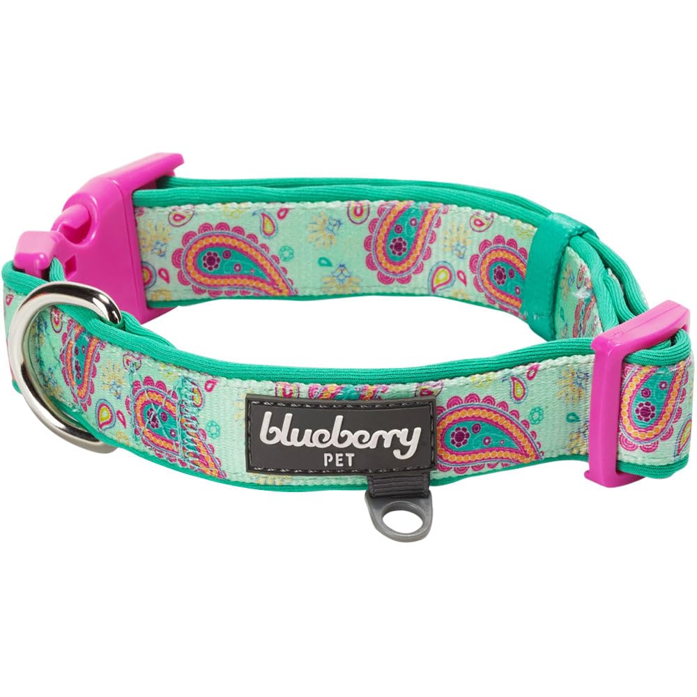 Blueberry Pet 5 Patterns Soft & Comfy Paisley Flower Print Neoprene Padded Adjustable Dog Collar, Emerald Green, Large, Neck 18'-26'