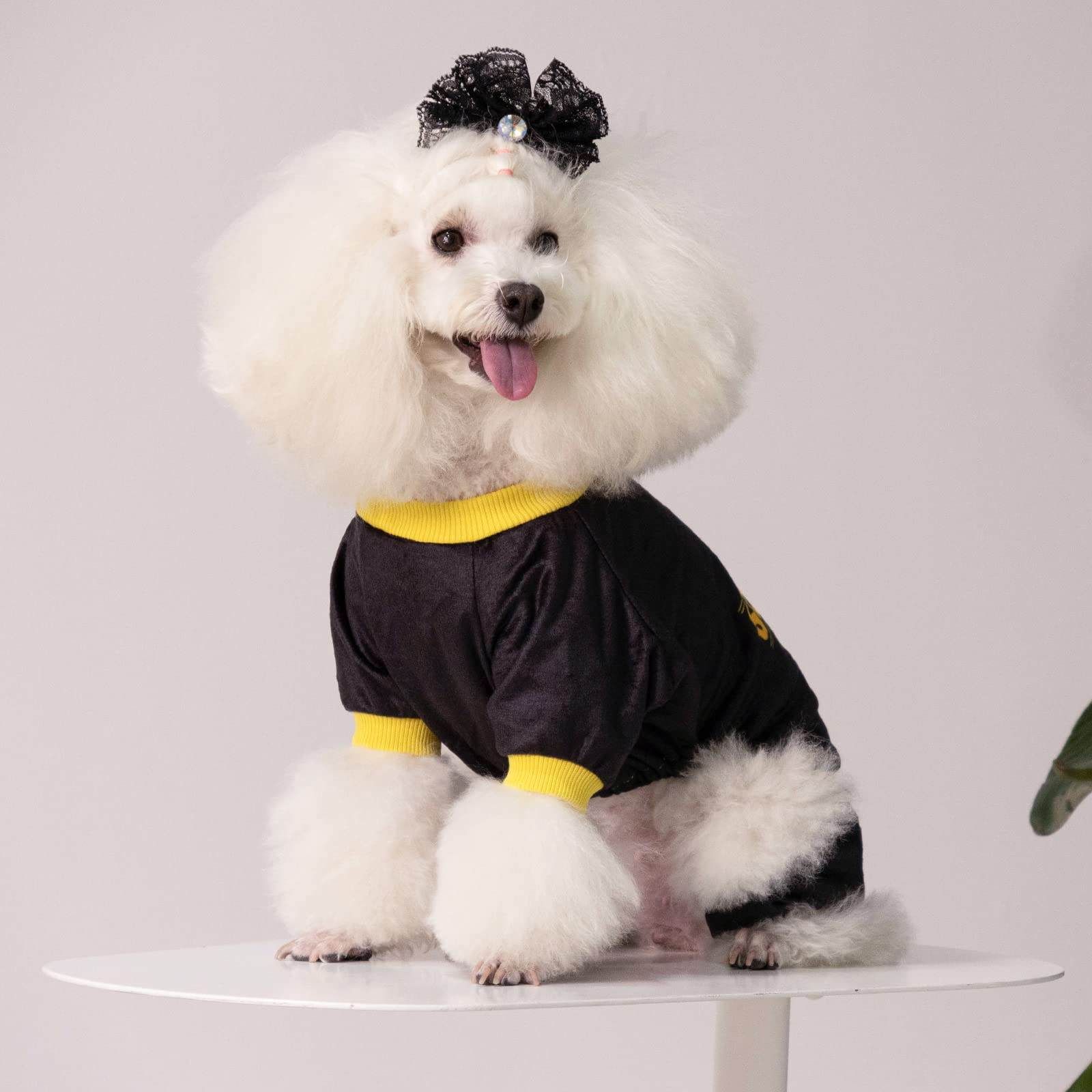 Cutebone Dog Pajamas Soft Cat Clothes Cute Puppy Apparel Doggie Outfit Pet Pjs Onesie P264L