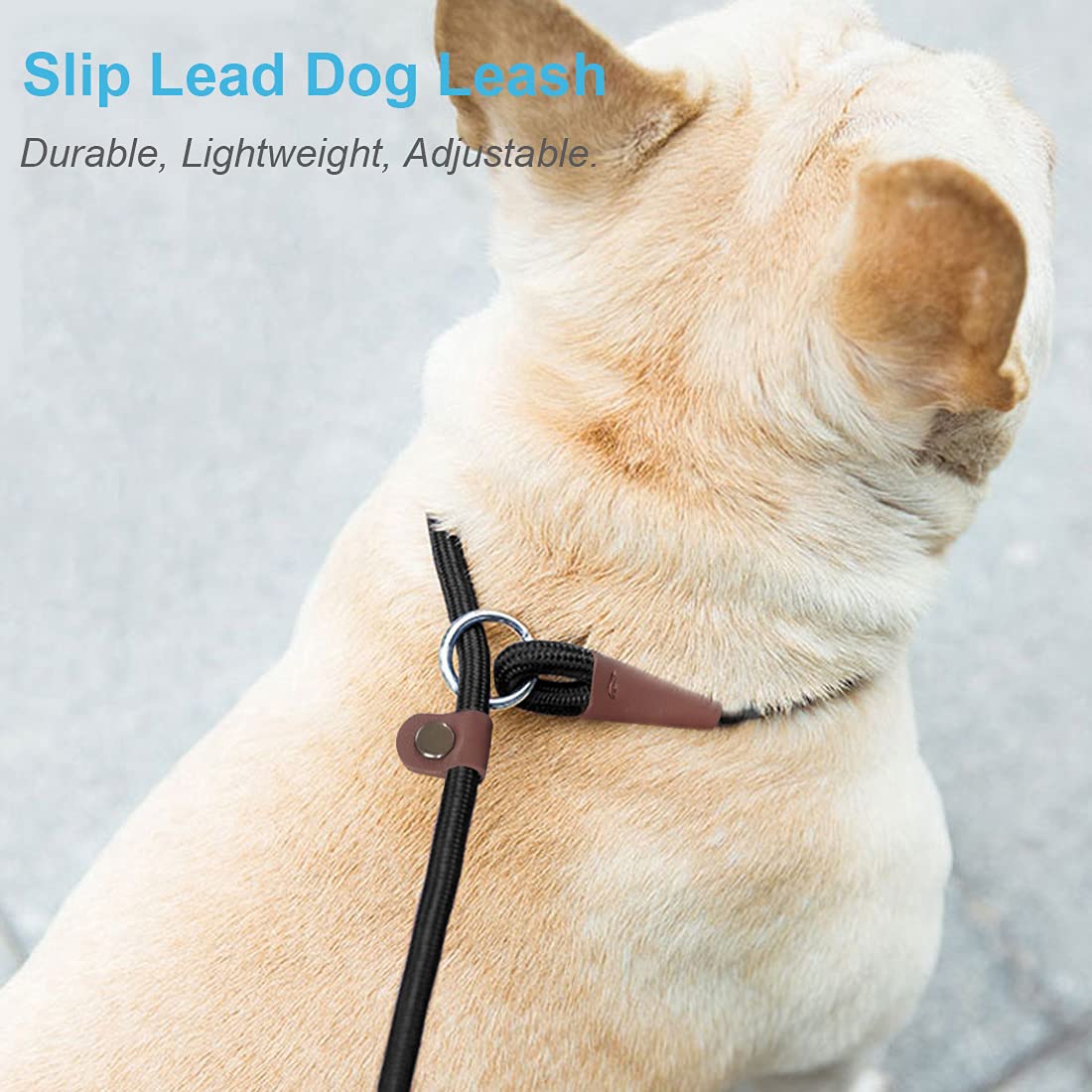 MayPaw Slip Lead Control Leash for Dogs, 7FT x 1/4" Blue Metal Rope, No Pull Design, Ideal for Small Medium Pets