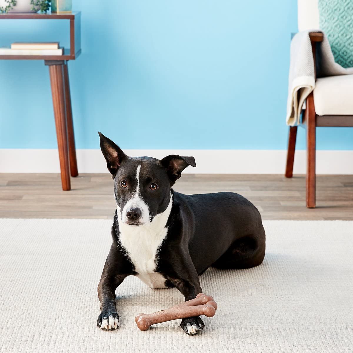 Pet Toy Dg Bone Bacon 7'