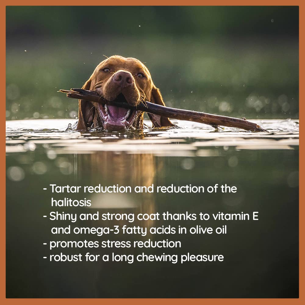 Wildfang Olive Wood - Chewing Stick For Dogs, 100% Natural Dog Toy, Dental Care & Training