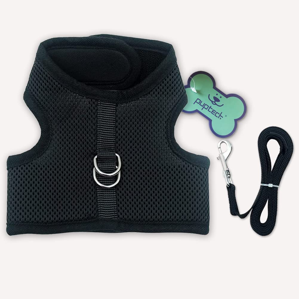 PUPTECK Soft Mesh Cat Vest Harness & Leash Set, Large, Purple, Escape Proof, Padded, for Small Dogs and Cats