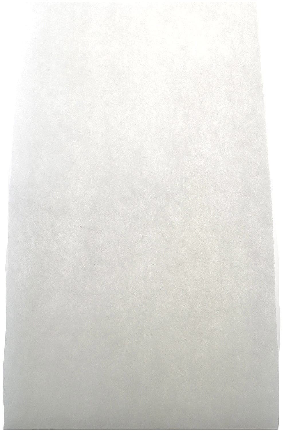 Wave Point Premium Polyfiber + Filter Media Pad 18 X 30 Inch - Cut To Fit For Aquariums And Ponds (Polyfiber, White - 10X18 Inch)