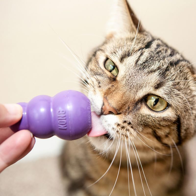 KONG Kitty Classic Cat Toys - 2 Pack - Fillable Treat-Dispensing Toy for Cats - Bounces & Rolls for Interactive Play - Encourage
