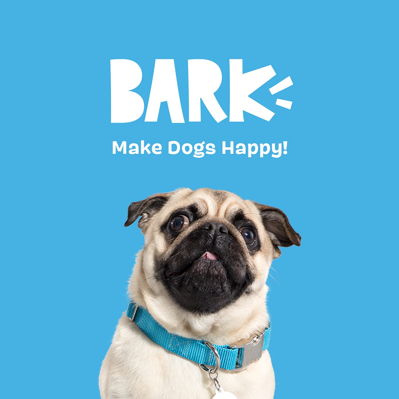 Barkbox 2 in 1 Interactive Plush Dog Toy - Rip and Reveal Dog Toy for Small Dogs - Stimulating Squeaky Pet Enrichment and Puppy