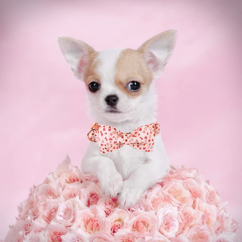 Elegant Little Tail Valentine'S Dog Collar With Bow Tie, Cute Heart Bowtie Pet Gift For X-Small Puppy