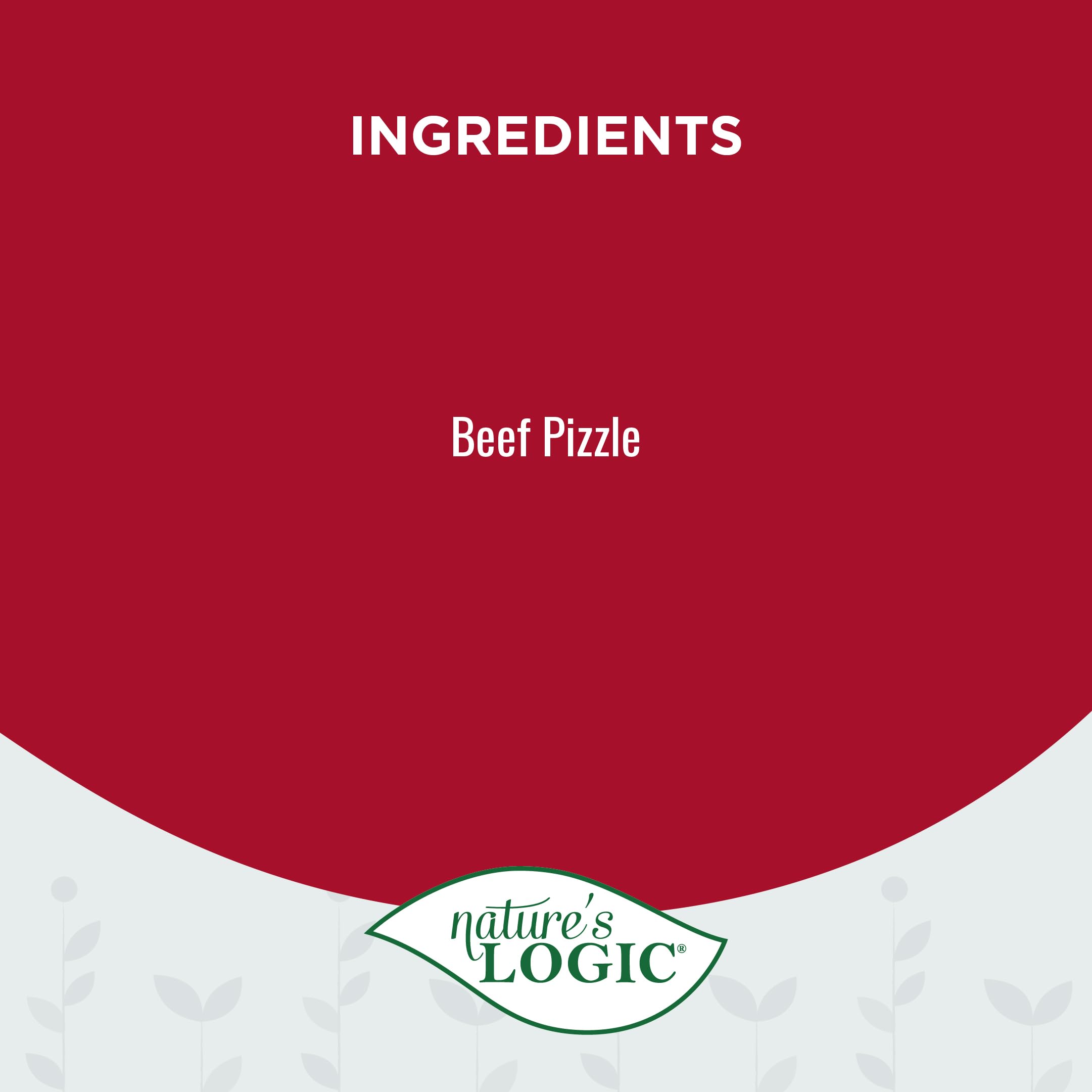 Natures Logic Beef Pizzle treat, 12 In., 1 Pack