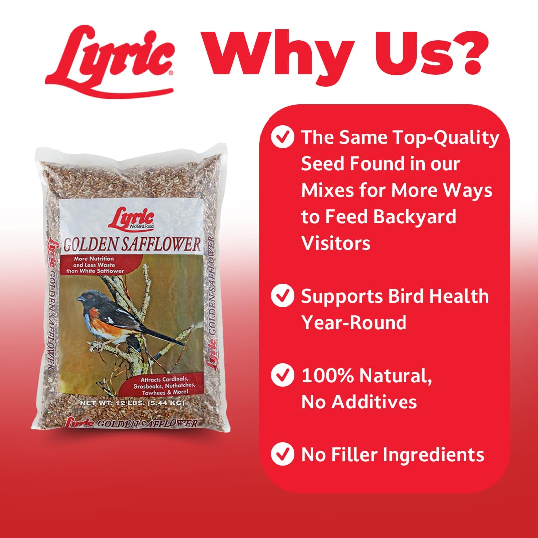 Lyric Golden Safflower Seed - Attracts Cardinals, Chickadees, Woodpeckers & More - 12 lb Bag