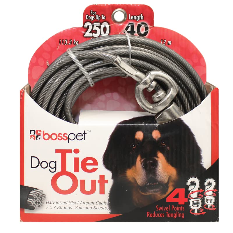 Boss Pet Products Inc Tie Out Super Beast 40Ft