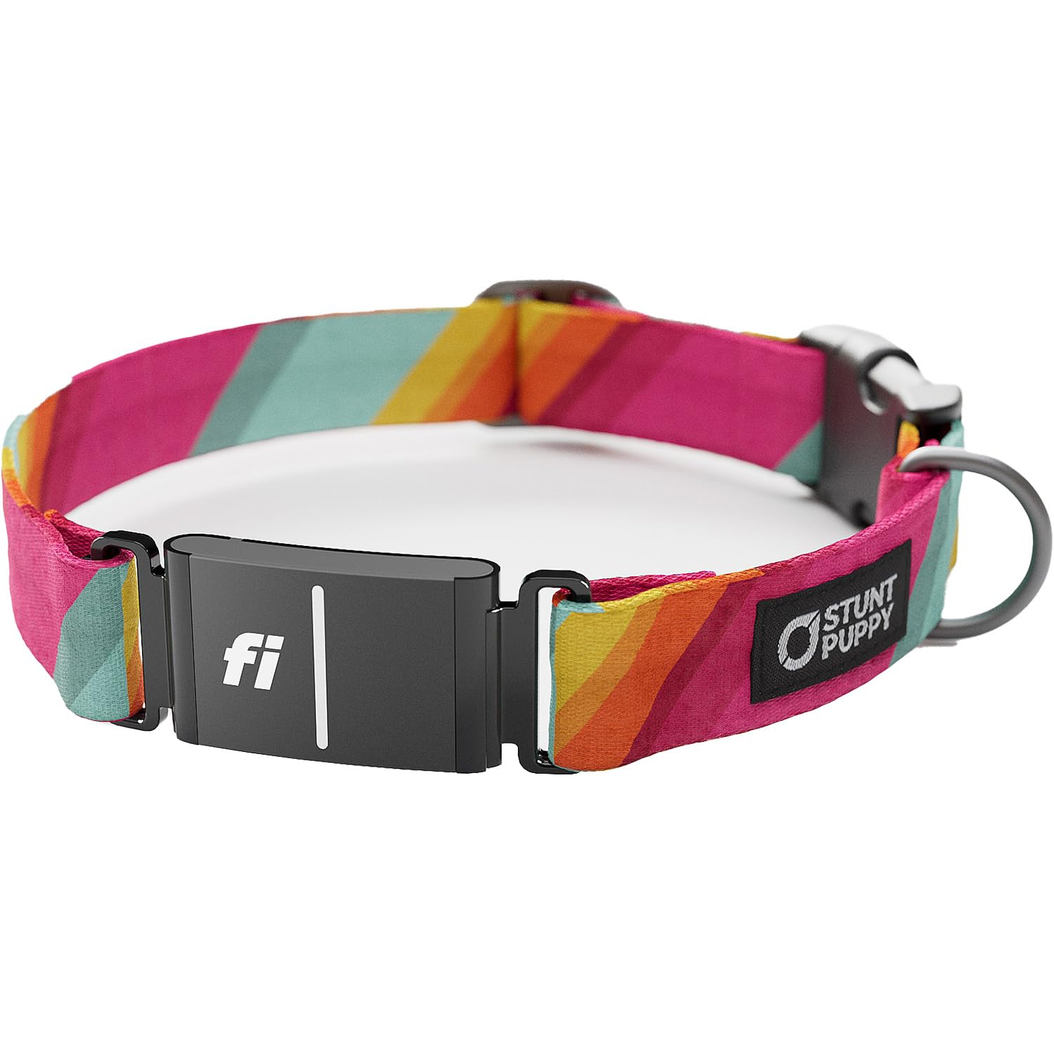 Stunt Puppy Dog Collar, Fi Series 3 Ready, All Are Welcome Here, Medium - Compatible With Fi Gps Device (Not Included)