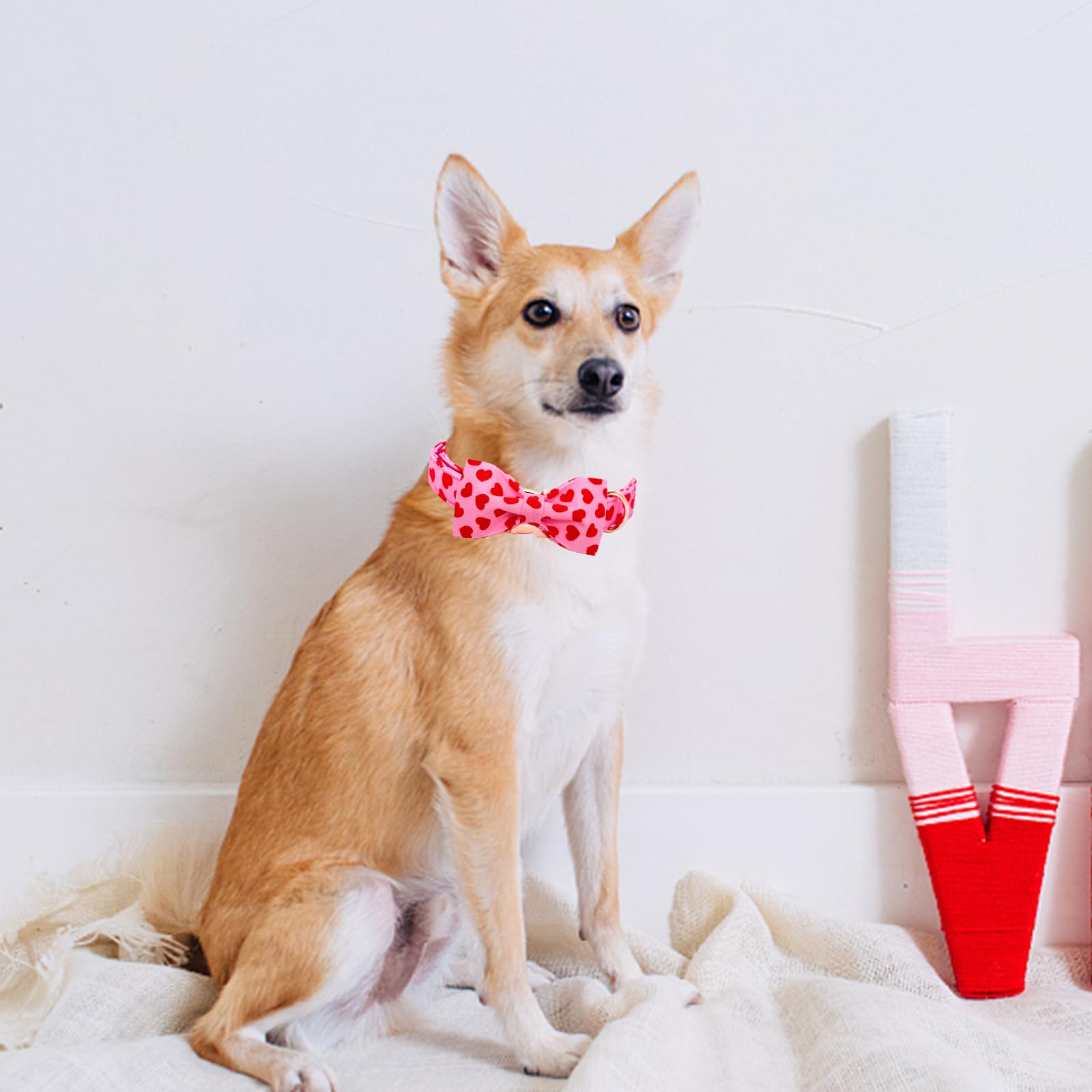 Lionheart Glory Dog Bow Collar Valentine'S Day Dog Collar For Medium Dogs, Hearts Dog Collars With Bowtie Spring Dog Collar Pet