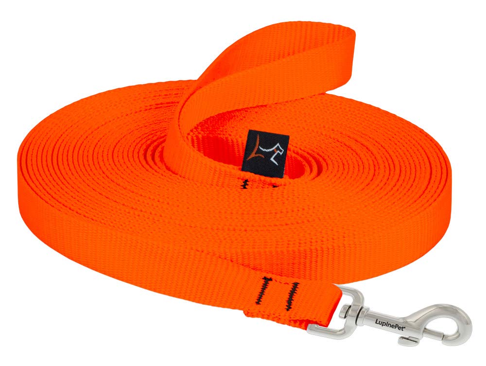 LupinePet Basics 3/4 Blaze Orange 30-Foot Extra-Long Training Lead/Leash for Medium and Larger Dogs