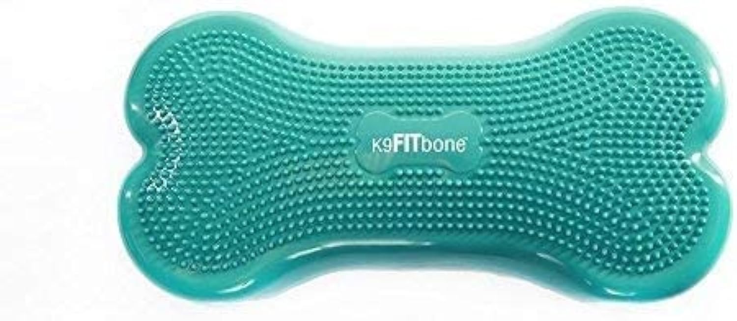 FitPAWS K9FITbone  Regular, Aqua | Dog Balance Training Platform & Exercise Equipment | Workout Tool for Strength, Core & Stabi