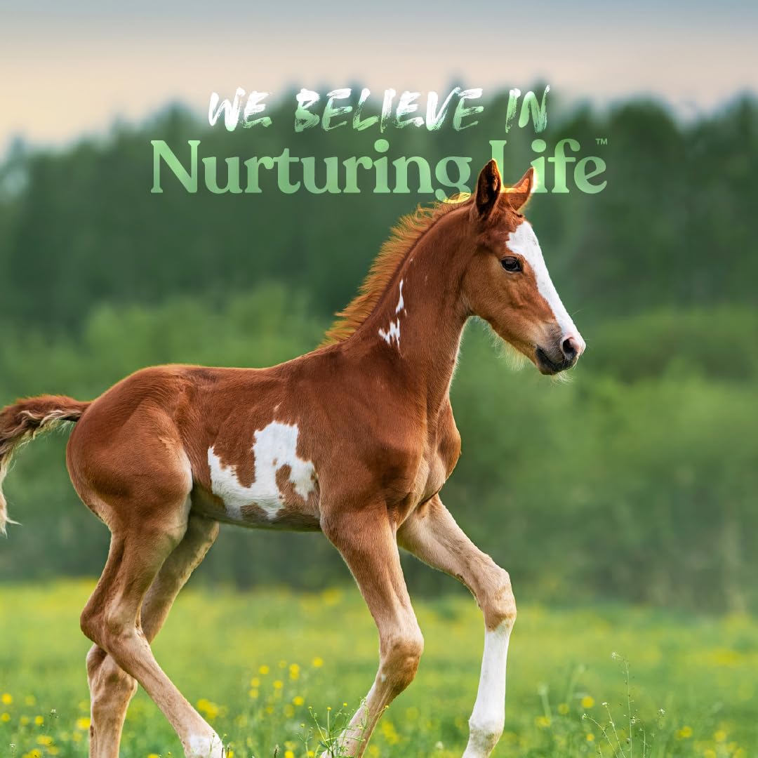 Manna Pro Nurse All Multi-Species Milk Replacer - Powered by Opti-Gut to Support Gut Health & Digestion - All-Milk Protein - Eas