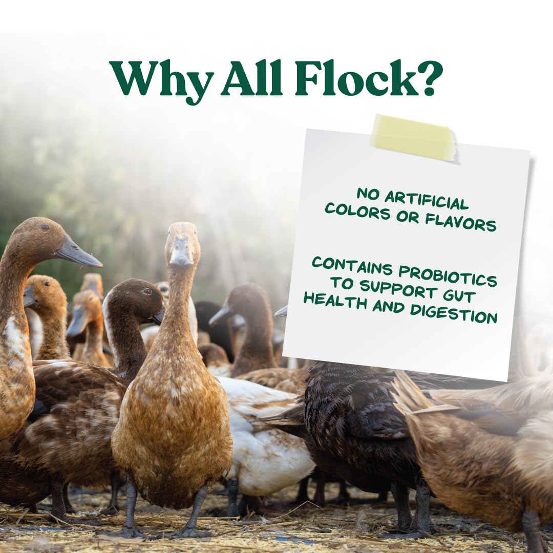 Manna Pro All Flock Crumbles, 16% Protein, Complete Feed for Poultry & gamebirds. Contains probiotics for Digestion, no Artifici