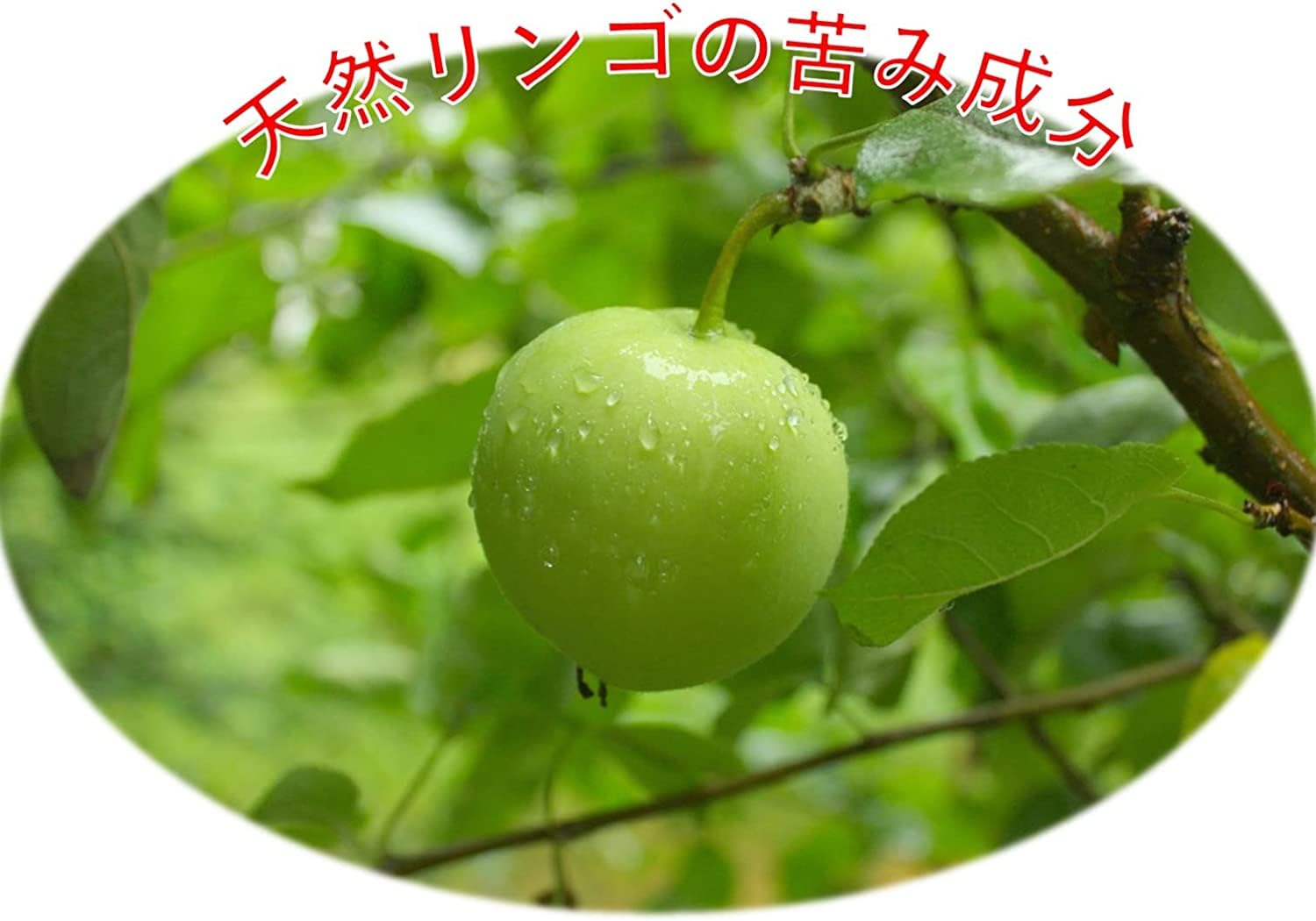 Bitter Apple Spray