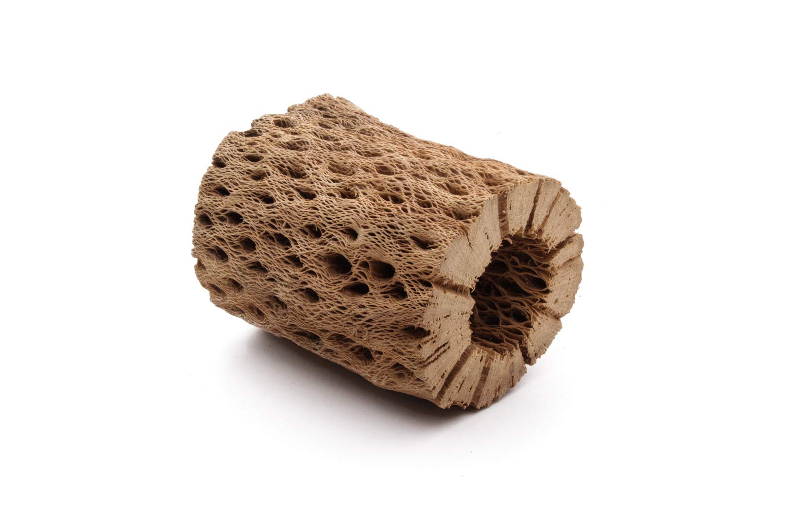 3, 6, 9, 12 Inch All Natural Teddy Bear Cholla Wood Extra Hollow Untreated Organic Aquarium Driftwood Decoration Chew Toy Shrimp