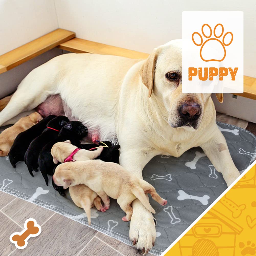 2Pack Washable Pee Pads For Dogs 36 X 31 Inch Reusable Puppy Pads, High Urine Absorption Waterproof Puppy Pad Reusable Potty Pads For Dogs Whelping Potty Training
