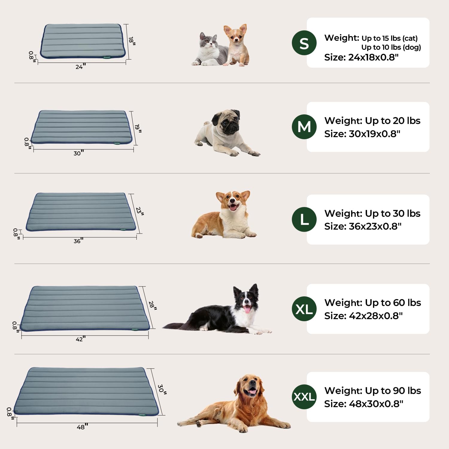 BALANCE Dog Crate Pad, Dog Foam Crate Mat Kennel Pad, Washable Water-Resistant Pet Bed Flat Dogs Cage Mat for Small Dogs, 2 Pack