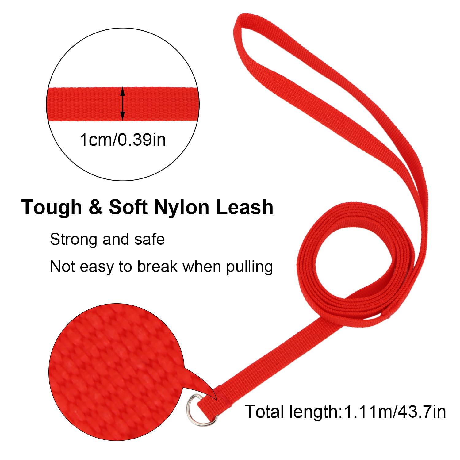 Hypeety Slip Leads for Dogs - 6 Pcs Bulk Pack, Nylon, One Size, Ideal for Grooming and Kennel Use