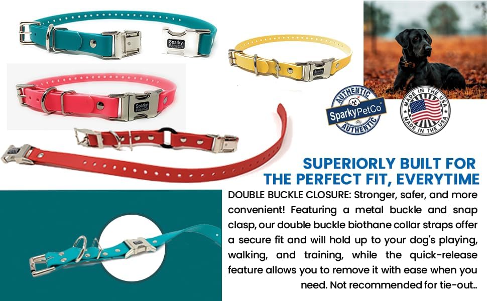 Sparky Pet Co - Zeus Ecollar Replacement Strap - Bungee Loop Dog Collar - Waterproof Biothane - Adjustable - Double Buckle - Quick Snap Metal Clasp - For Invisible Fence Systems - 3/4' X 28' Neon Pink