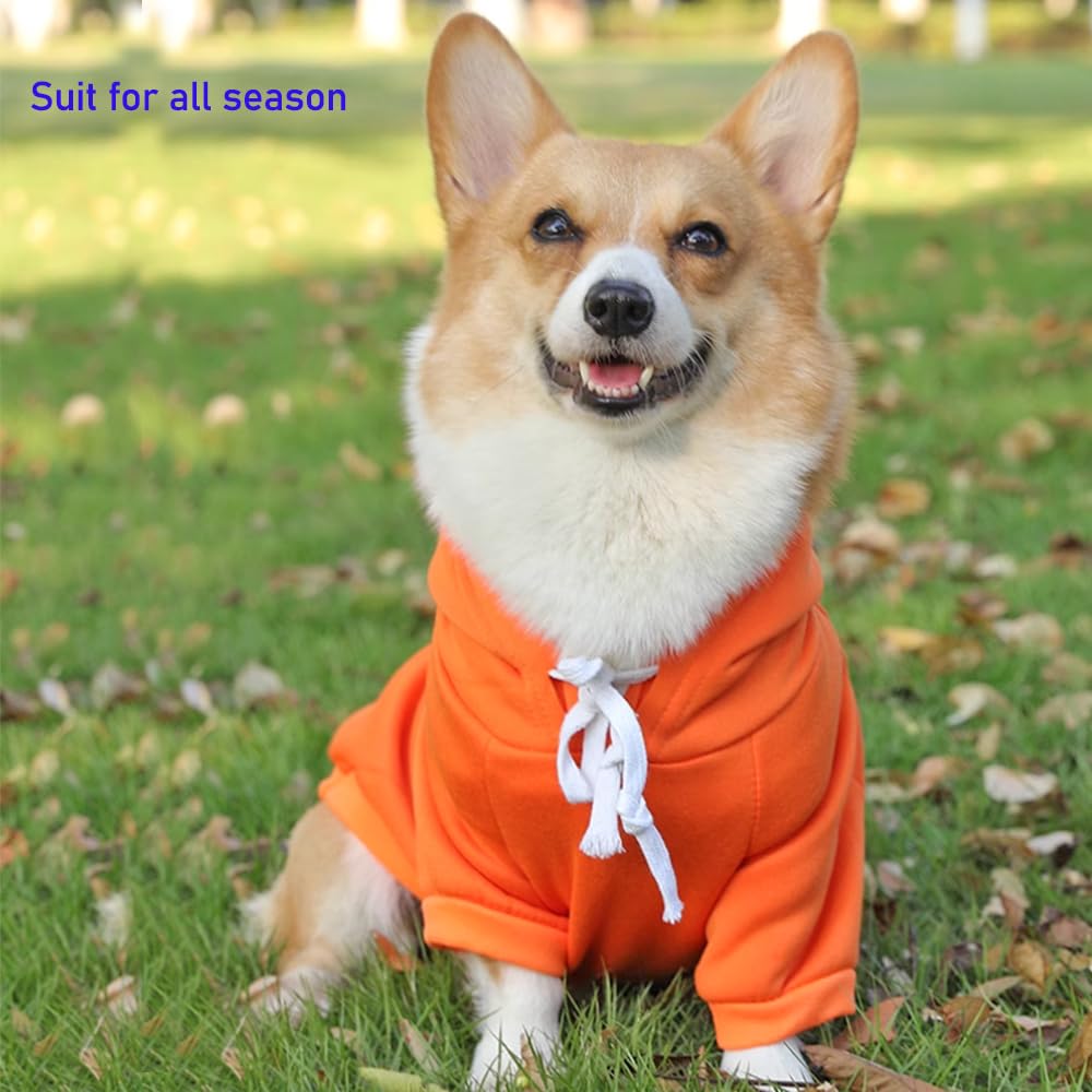 Aniac Funny Pet Clothes For Small Dog Cat Carrot Hoodies Warm Sweatshirt Coat With Fruit Hood Fall Puppy Cat Sweater Halloween E