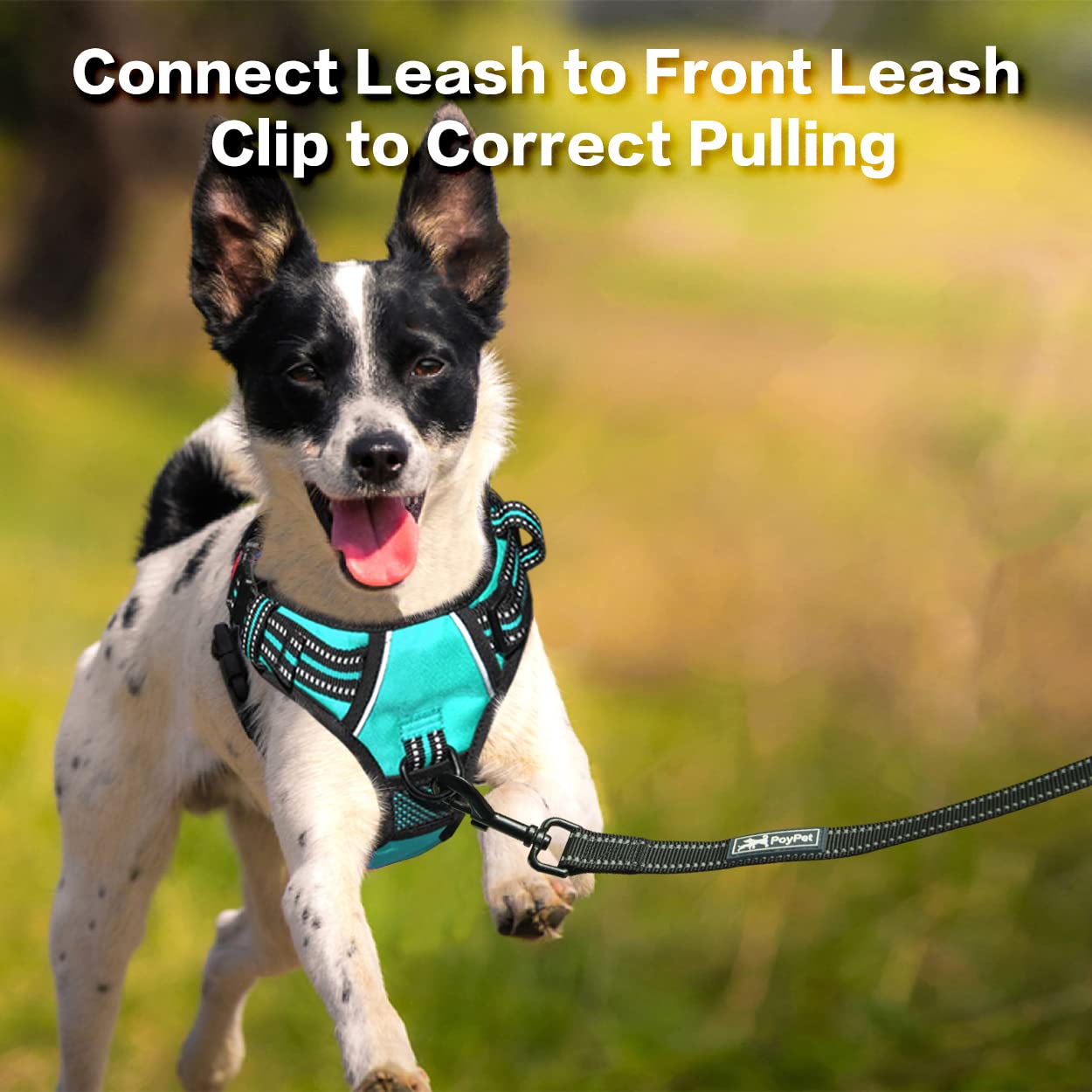 Poypet No Pull Dog Harness, No Choke Front Clip Reflective Dog Vest With Soft Padded Vertical Handle, 3 Leash Attachments For Sm