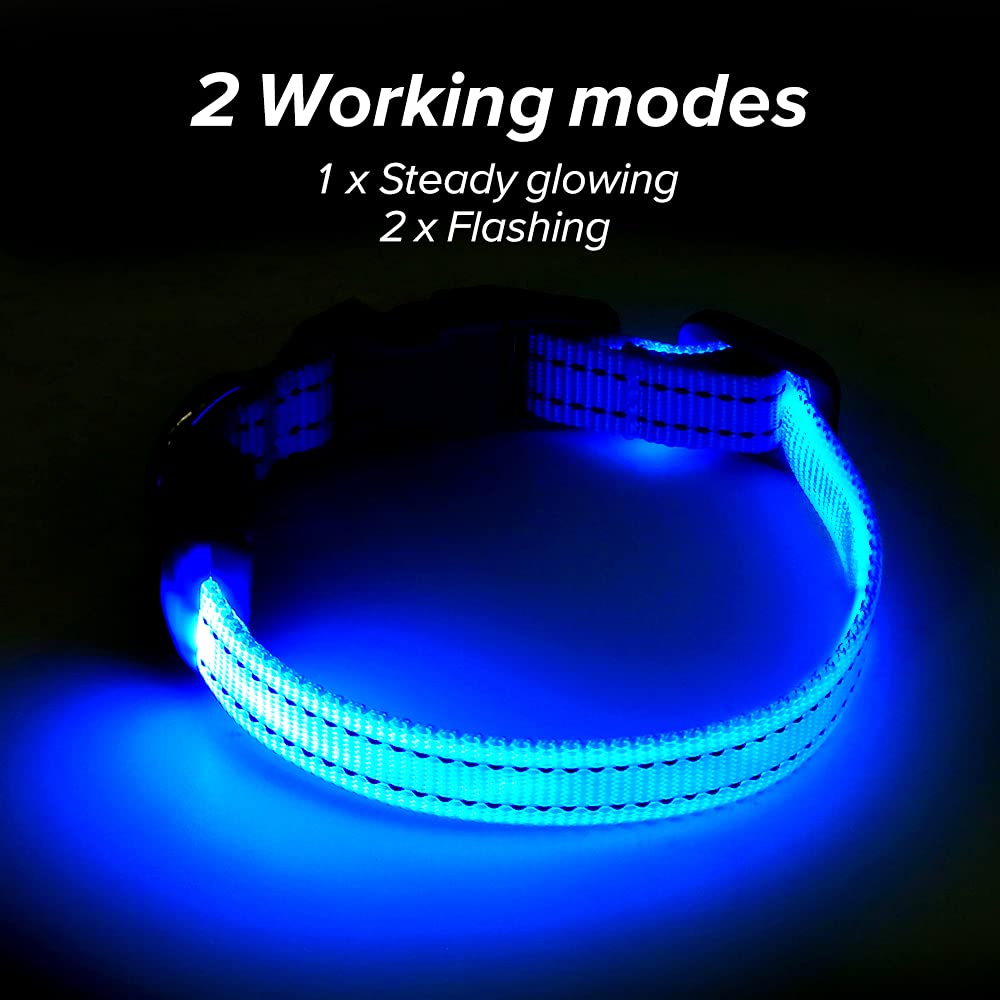 Illumifun Led Collar For Small Dog, Usb Rechargeable Dog Safety Collar Light, Adjustable Nylon Webbing Light Up Collar For Your Pups (Blue, X-Small)