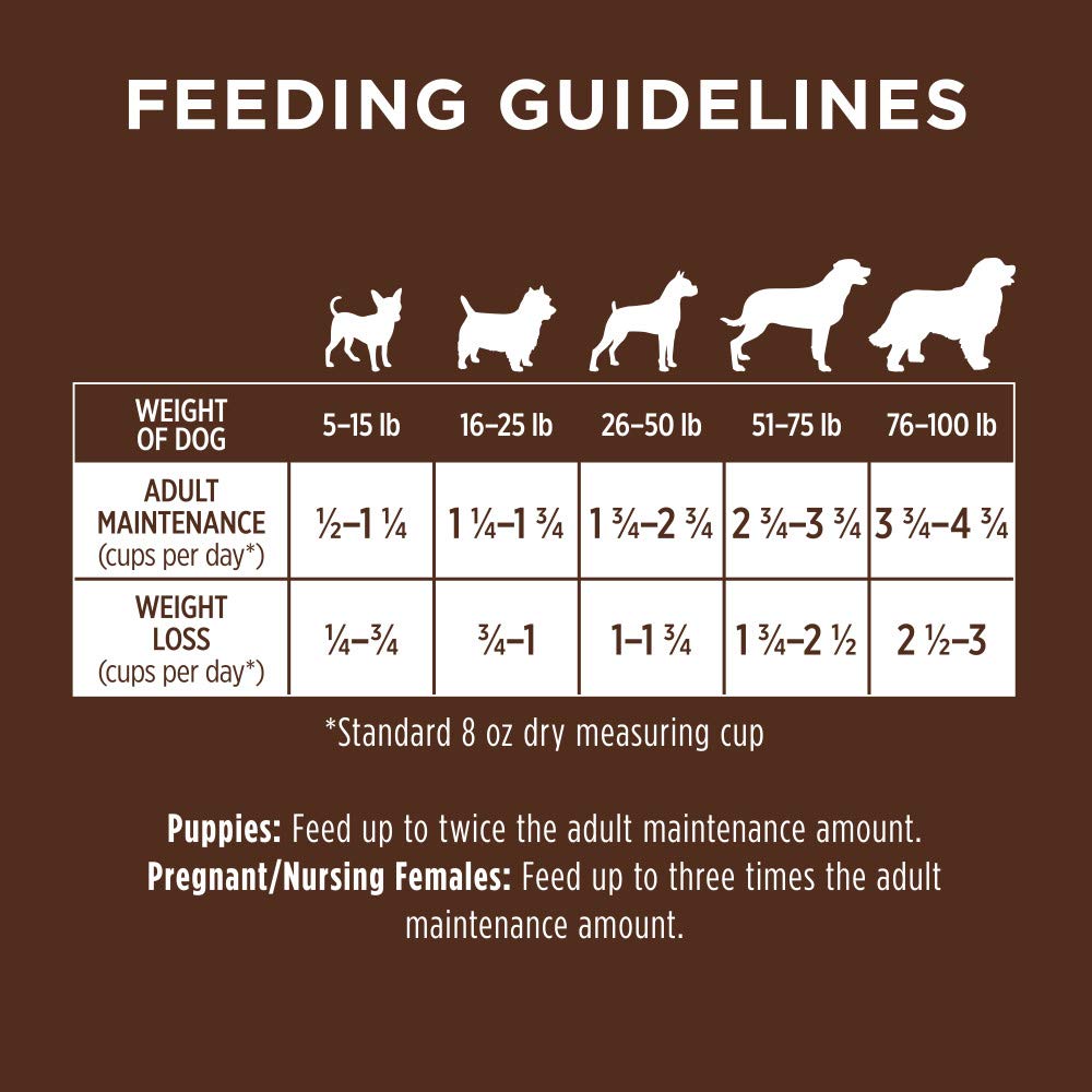 Be Natural Chicken & Brown Rice Dry Dog Food, 4.5 lb. Bag