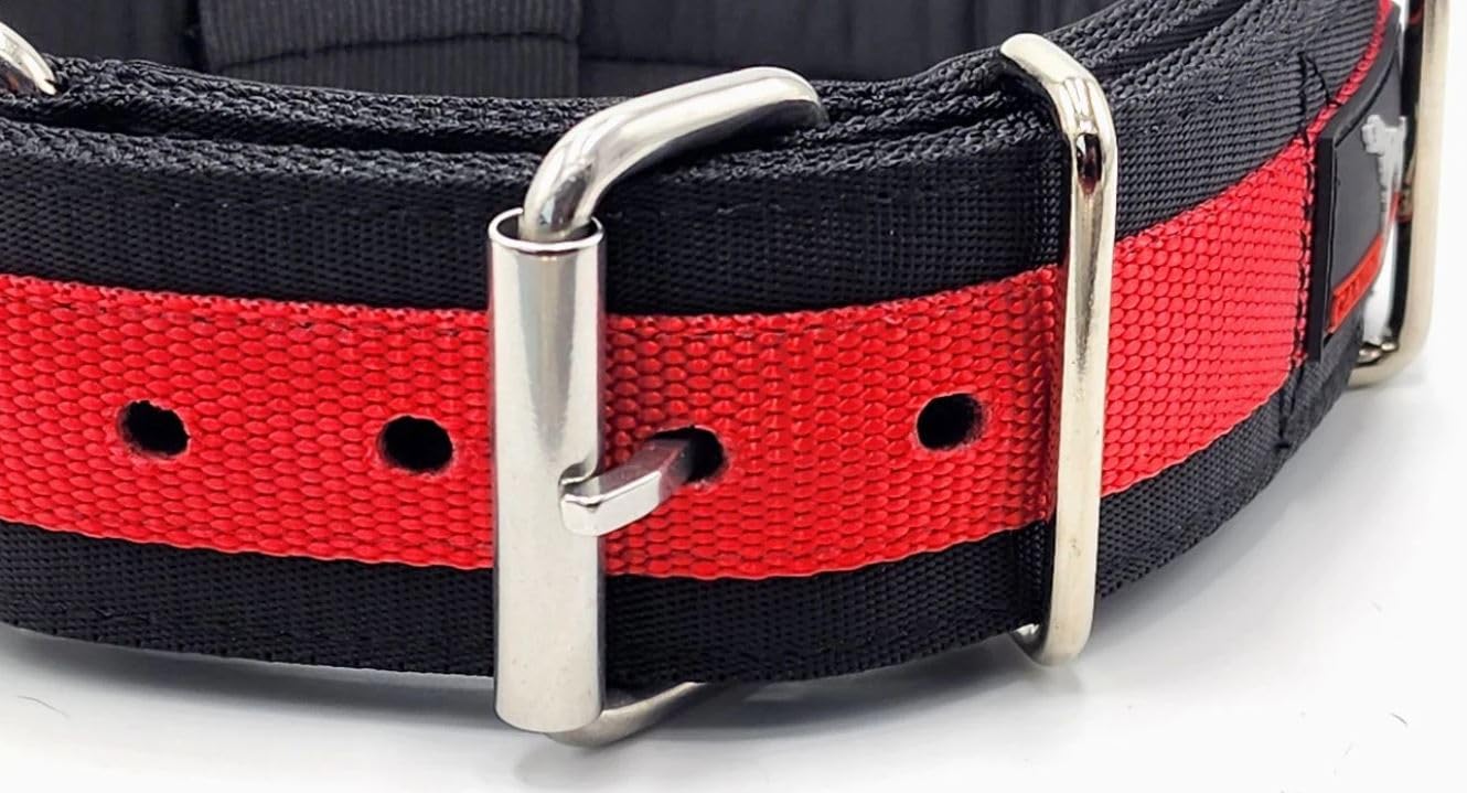 Canine Athletes 2" Wide Elite MAX V2 Neoprene Padded Dog Collar, Medium, Black, for Strong Dogs