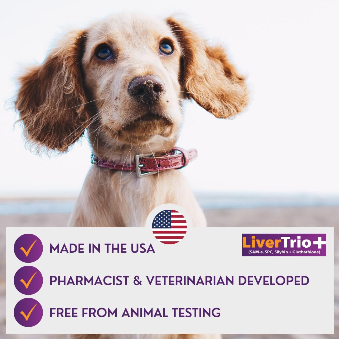 LiverTrio+ Liver Support Supplement for Large Dogs - Chewable Tablets with Silybin A+B & Glutathione, 30 Ct, Orange